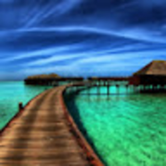 Meet your Posher, Nhan - Picture 1 of 1